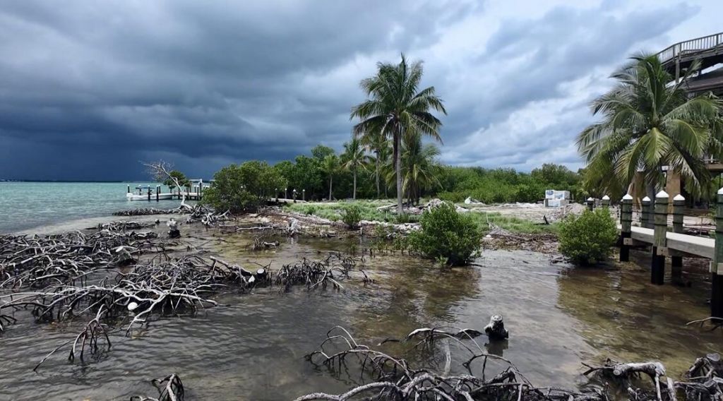 0 Melody, Summerland Key, FL 33042 Photo