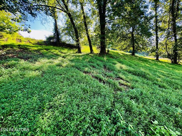 Lot 207 Clyde Ed Rd, Kodak, TN 37764
