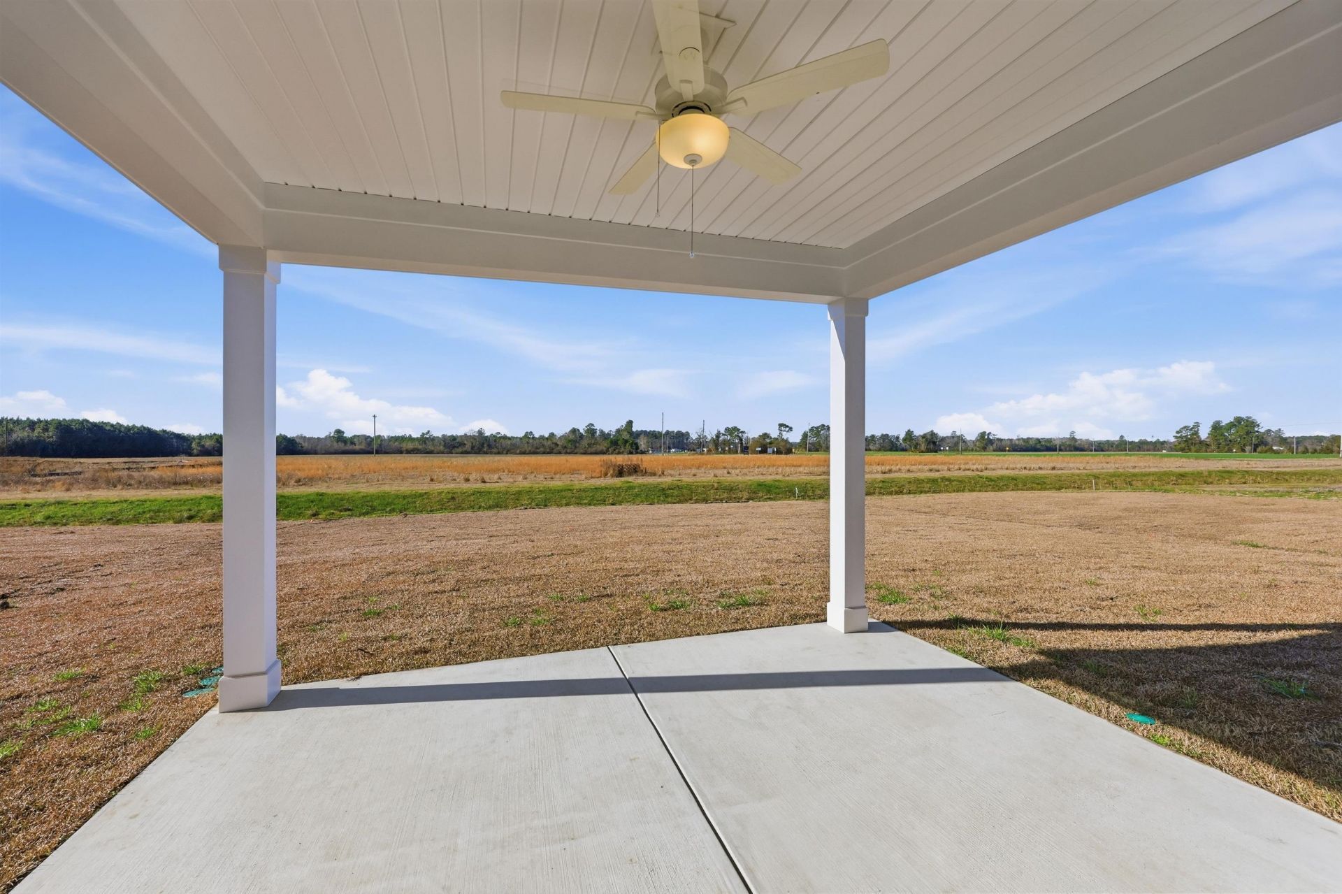 145 River Birch Dr. Photo 25