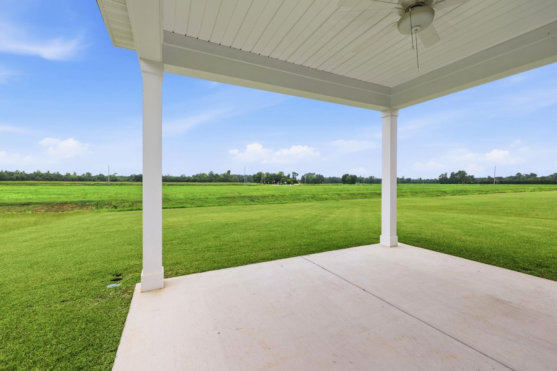 145 River Birch Dr. Photo 32