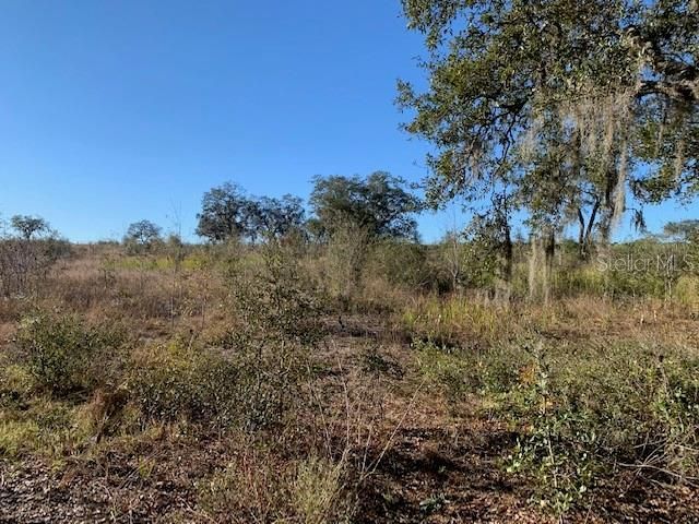 3288 Masterpiece Road, Lake Wales, FL 33898 Photo