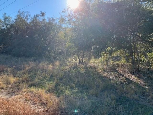 3288 Masterpiece Road, Lake Wales, FL 33898 Photo