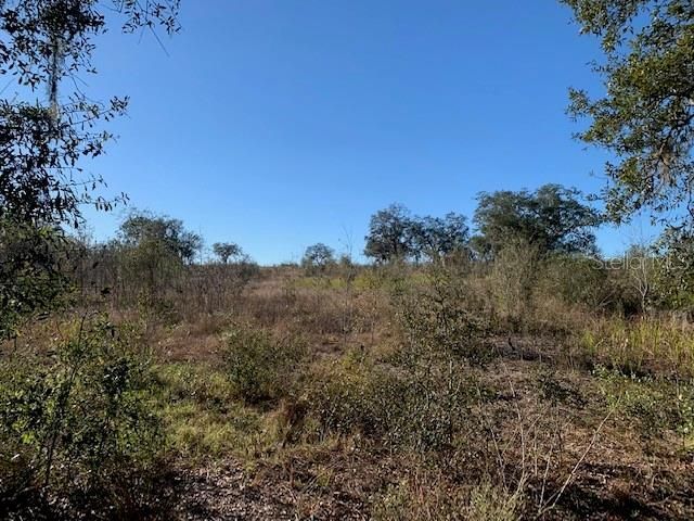 3288 Masterpiece Road, Lake Wales, FL 33898 Photo