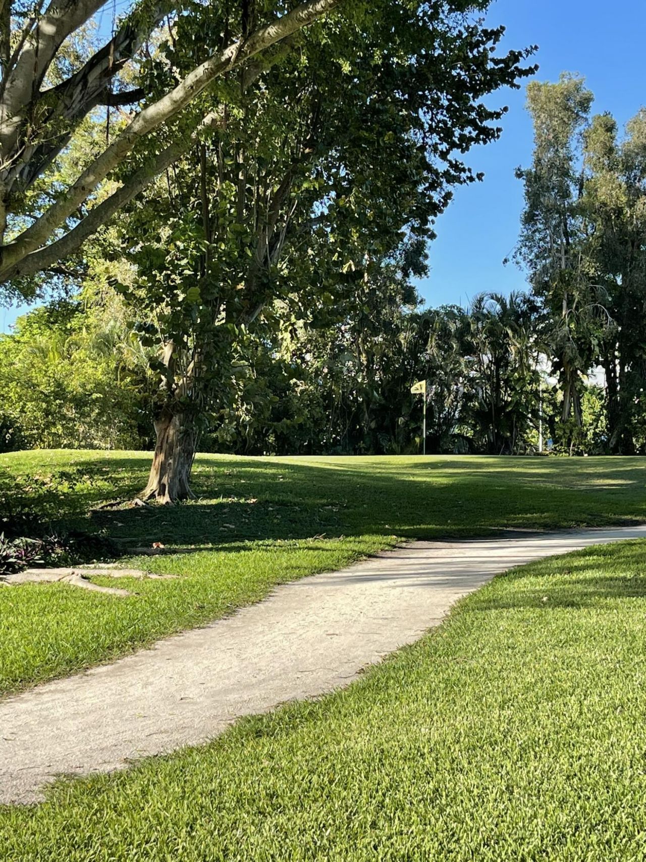 361 S Hollybrook Drive, Unit 103, Pembroke Pines, FL 33025 Photo