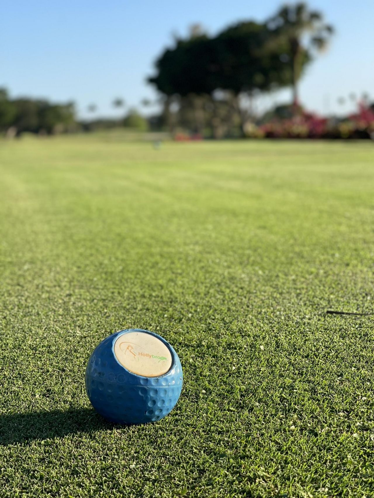 361 S Hollybrook Drive, Unit 103, Pembroke Pines, FL 33025 Photo