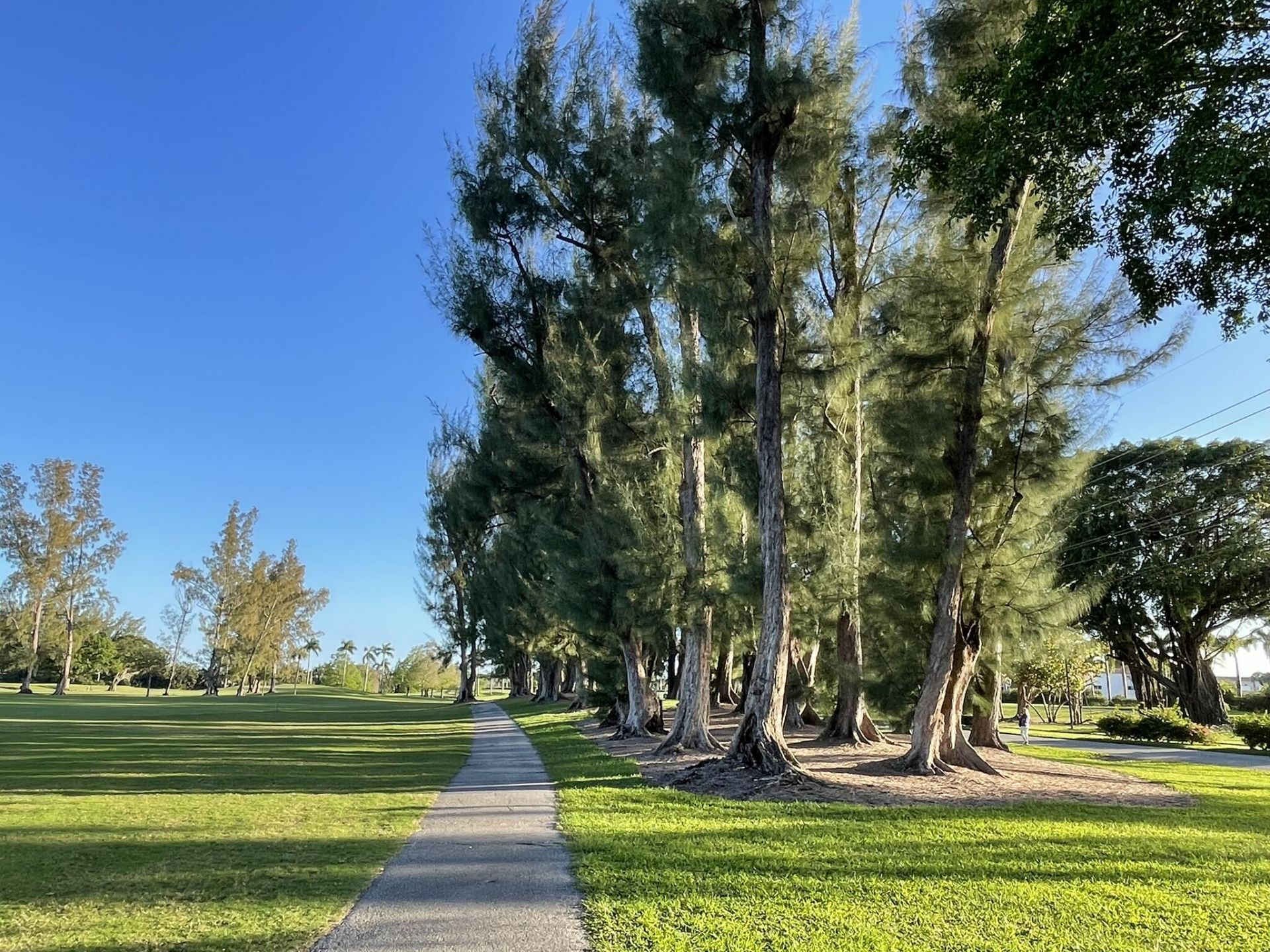 361 S Hollybrook Drive, Unit 103, Pembroke Pines, FL 33025 Photo