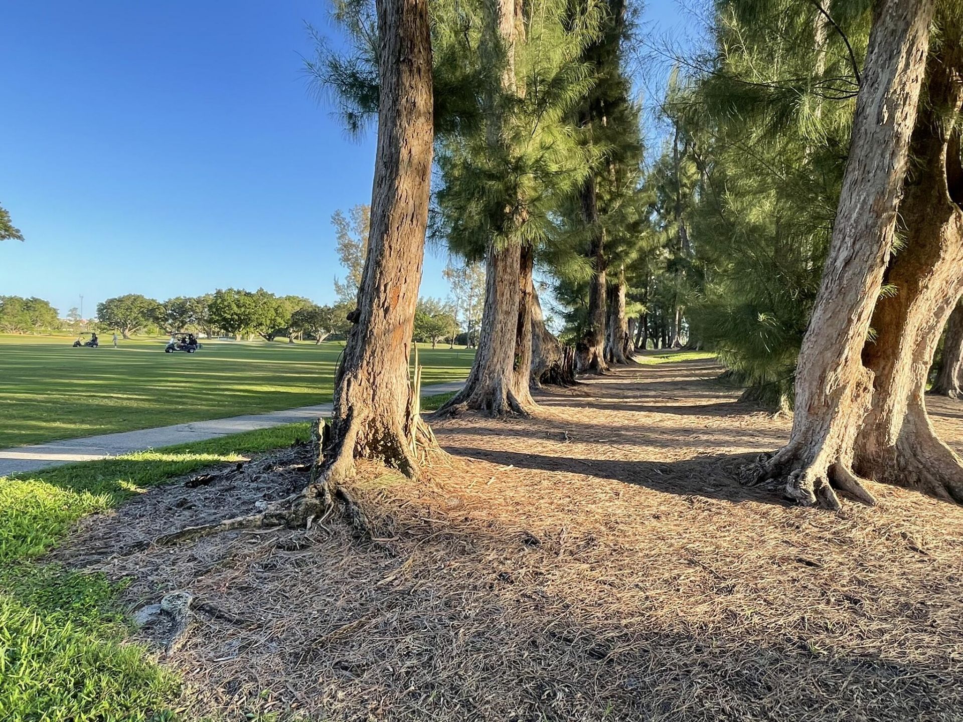 361 S Hollybrook Drive, Unit 103, Pembroke Pines, FL 33025 Photo