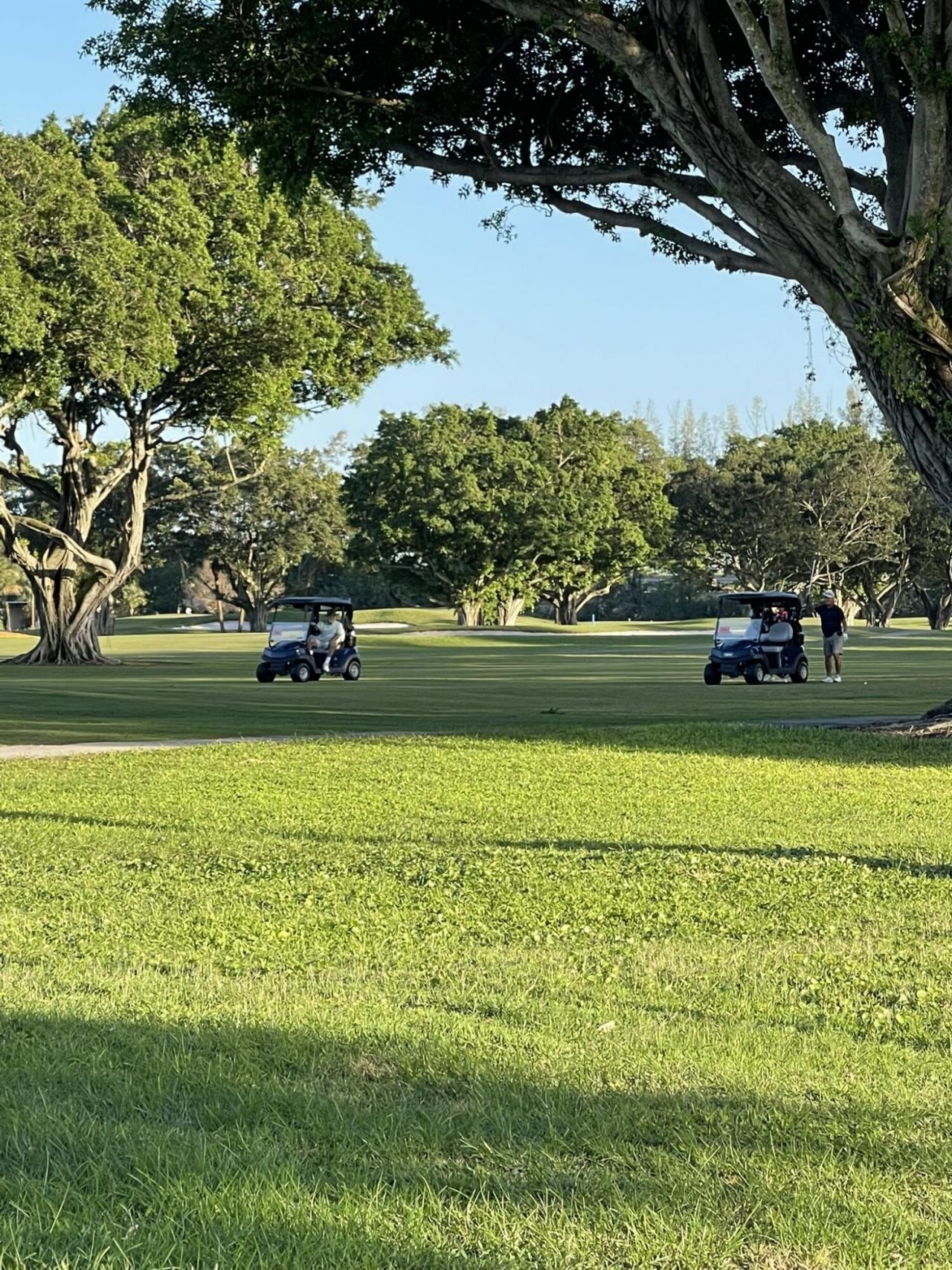 361 S Hollybrook Drive, Unit 103, Pembroke Pines, FL 33025 Photo