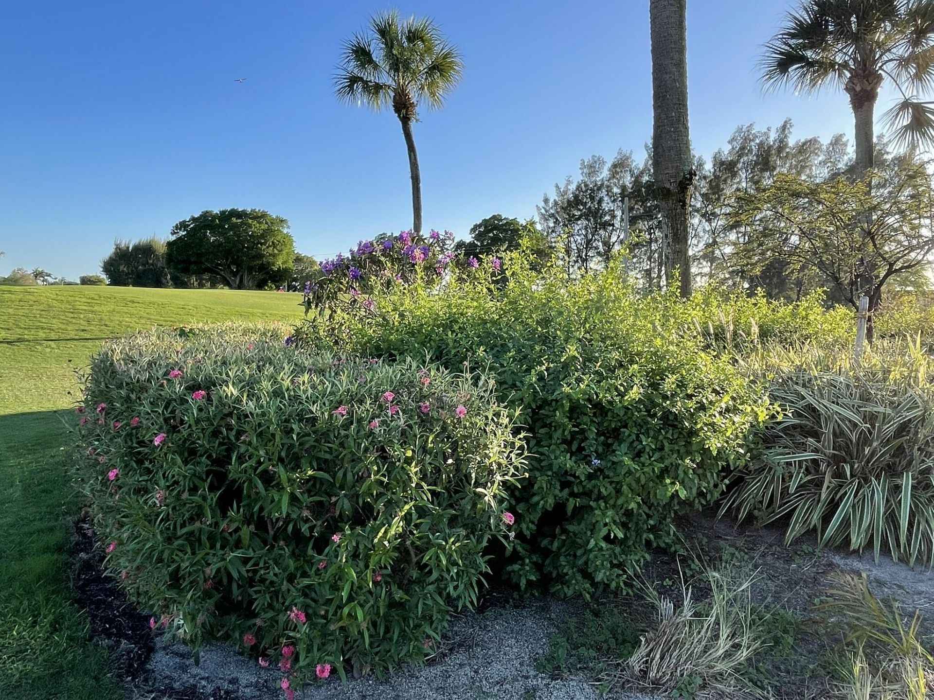 361 S Hollybrook Drive, Unit 103, Pembroke Pines, FL 33025 Photo