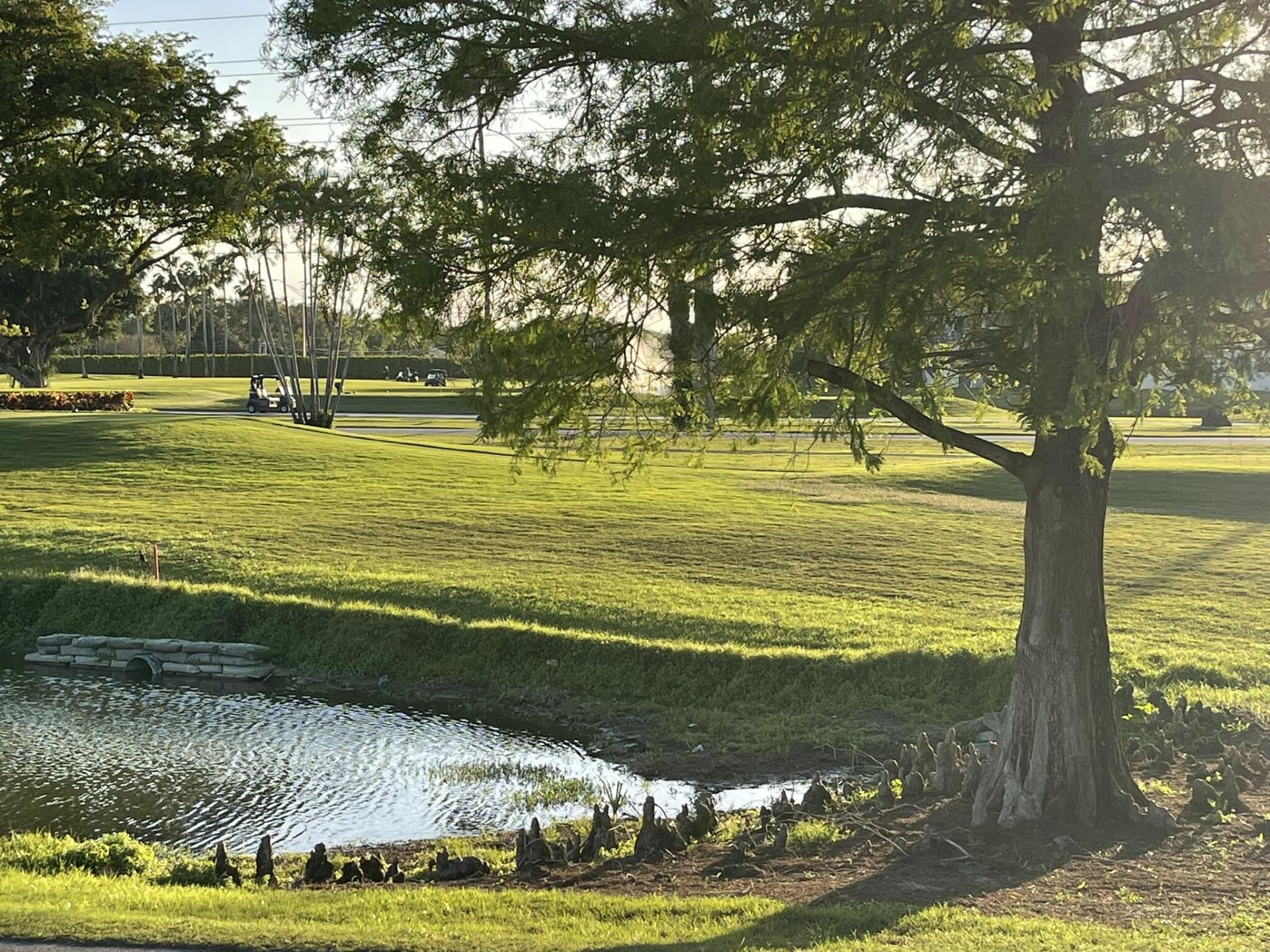 361 S Hollybrook Drive, Unit 103, Pembroke Pines, FL 33025 Photo