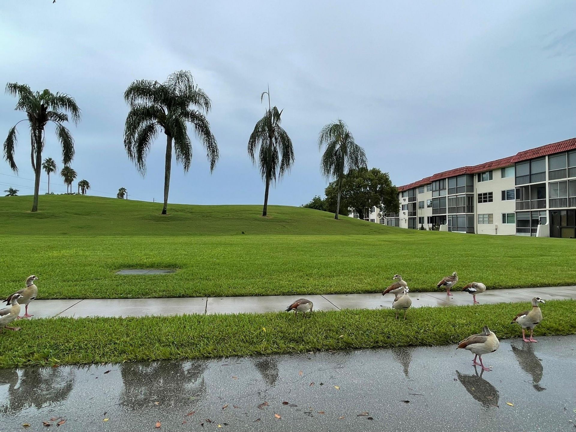 361 S Hollybrook Drive, Unit 103, Pembroke Pines, FL 33025 Photo