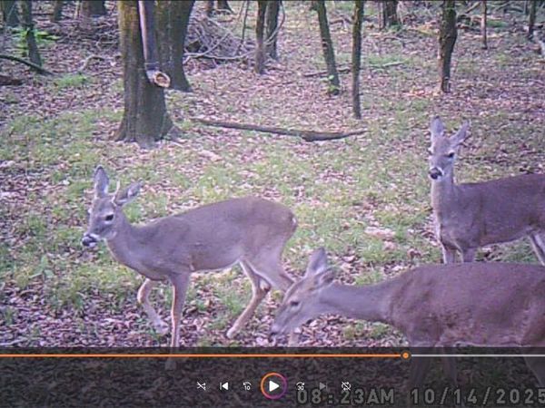 TBD PR 5042, Bogata, TX 75417