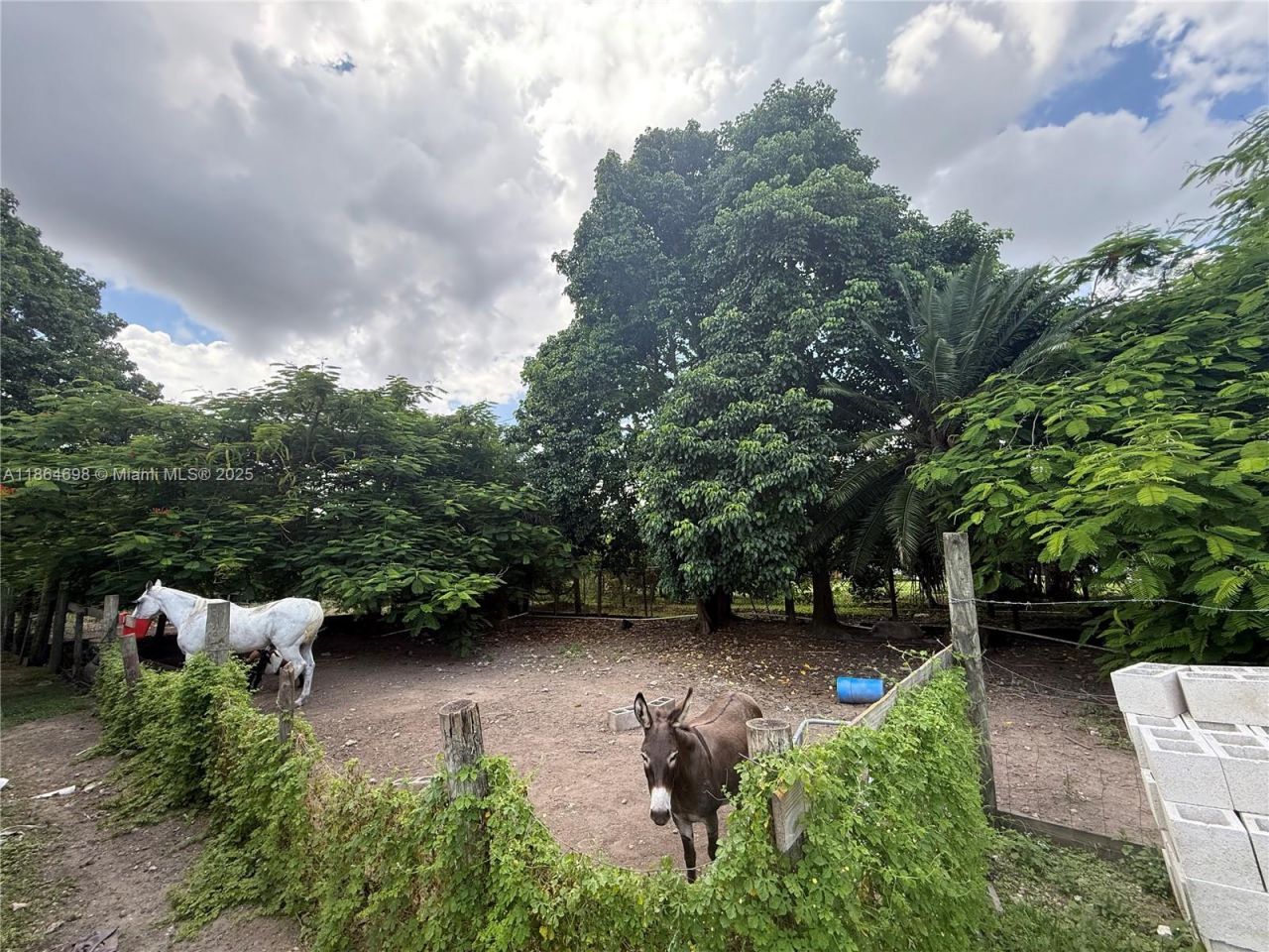 15765 SW 206th Ave, Miami, FL 33187 Photo