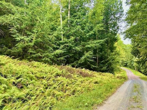 Longfellow Road, Unit 4, Haverhill, NH 03785