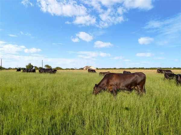 5.83 ac. TBD Hodge Road, Eddy, TX 76524