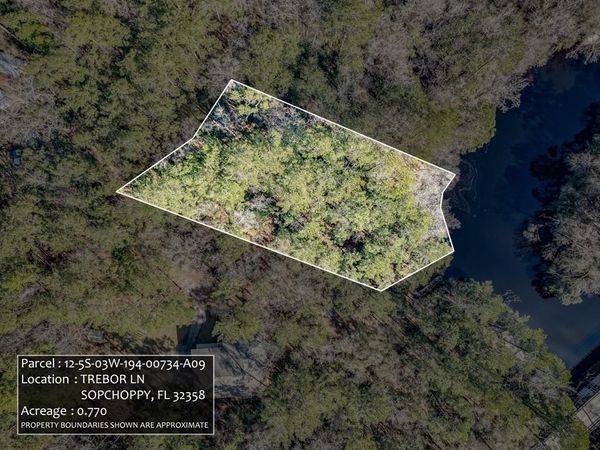 Lot 9 Trebor Lane, Sopchoppy, FL 32358