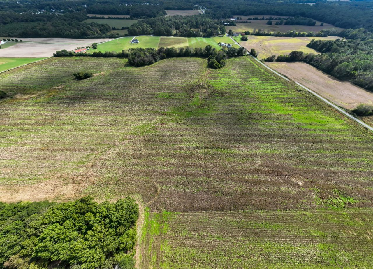 1 Clarence Finney Rd, Lot #2, Hillsboro, TN 37342 Main Photo