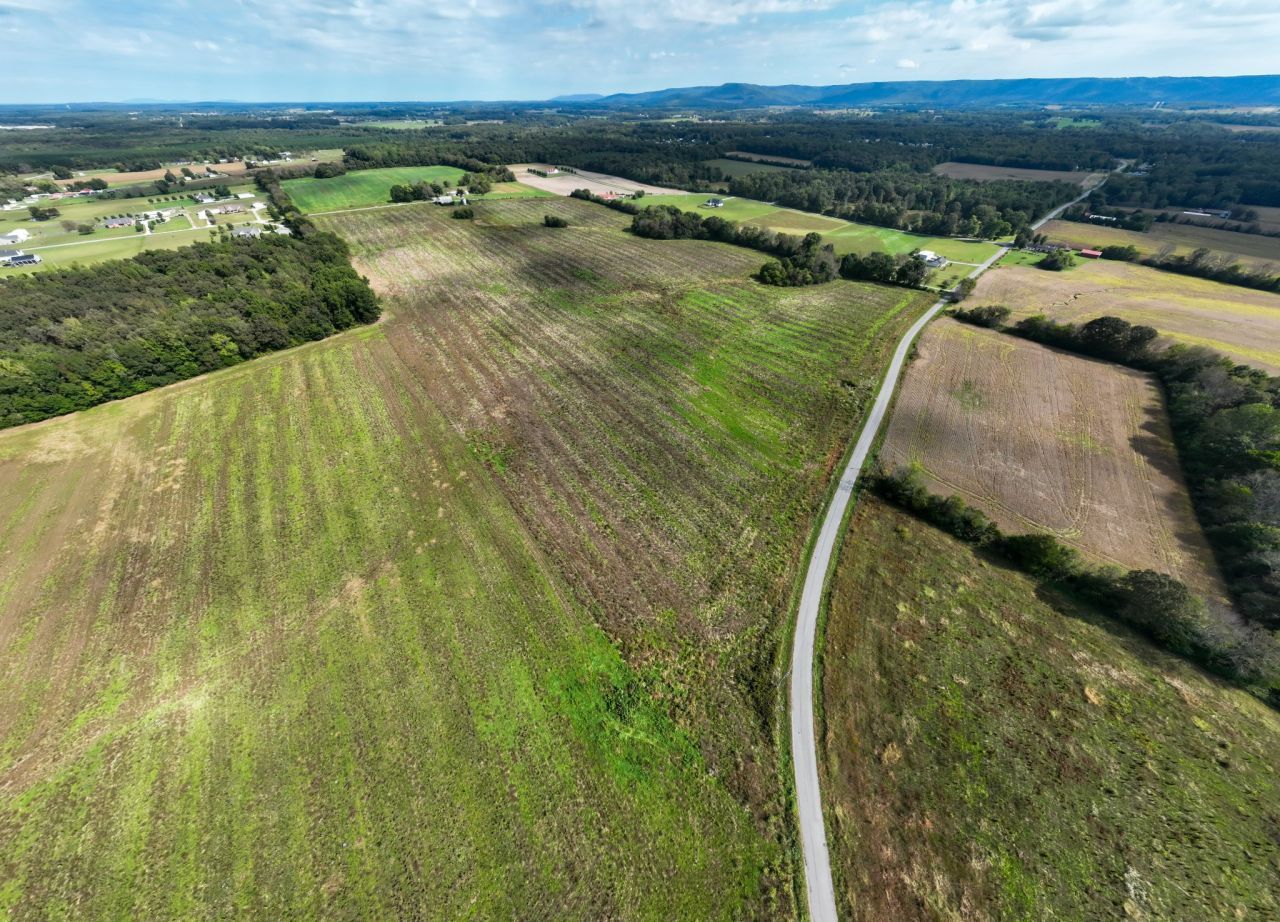1 Newt Vanattia Rd, Lot #12, Hillsboro, TN 37342 Main Photo