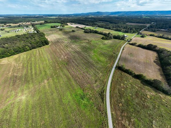 1 Newt Vanattia Rd, Hillsboro, TN 37342