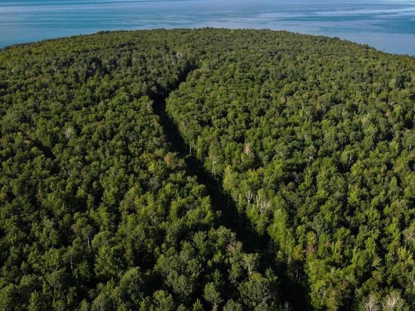 Lots 2-6 Romans Point Rd, Cornucopia, WI 54827