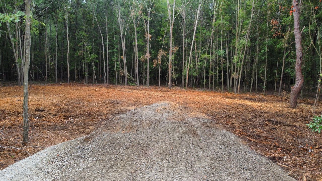 2 Francis Marion Boulevard Photo 11