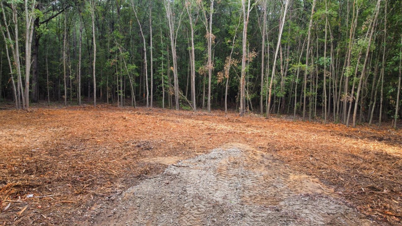 2 Francis Marion Boulevard Photo 13