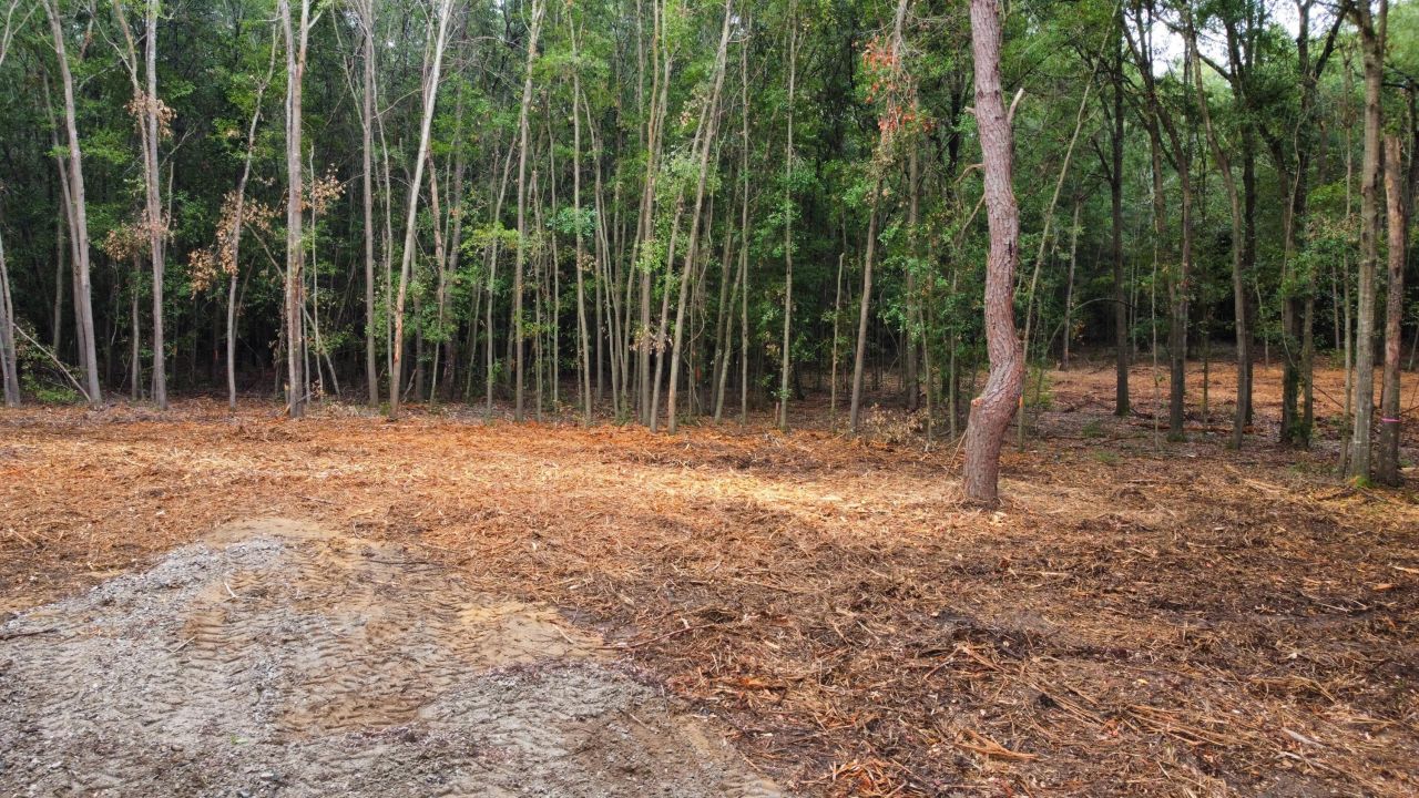 2 Francis Marion Boulevard Photo 14