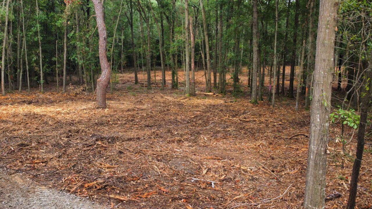 2 Francis Marion Boulevard Photo 15