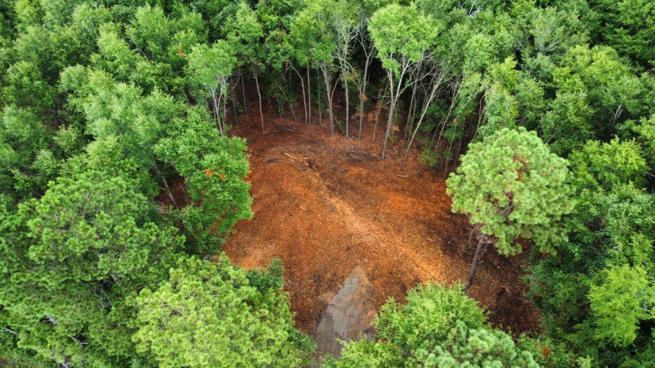 2 Francis Marion Boulevard Photo 16