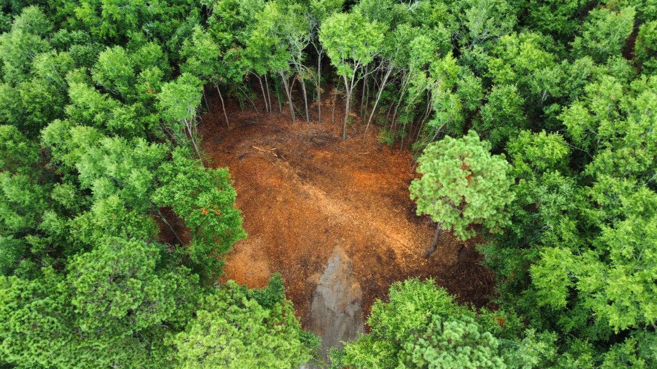 2 Francis Marion Boulevard Photo 18