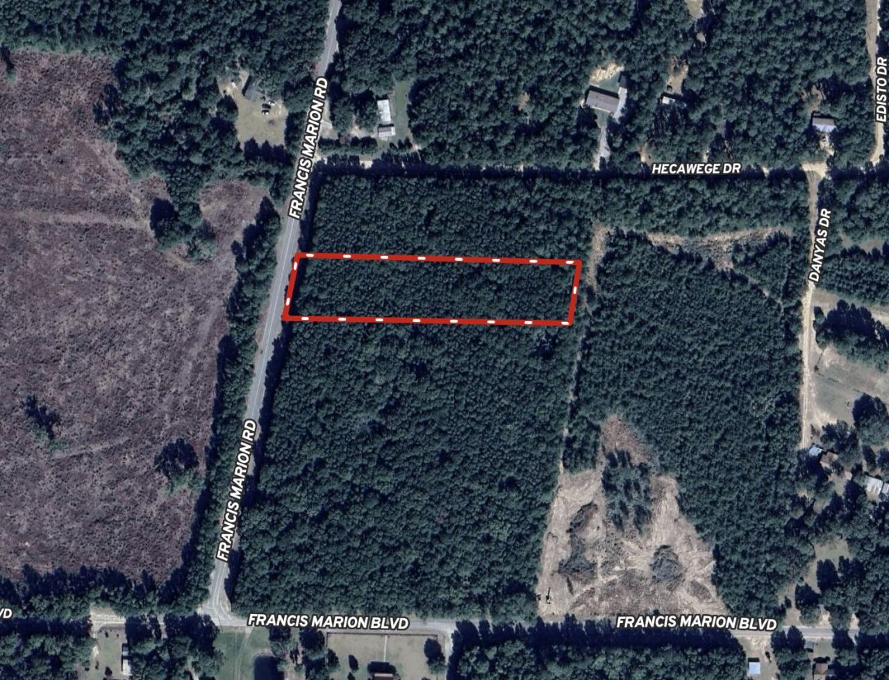 2 Francis Marion Boulevard Photo 21