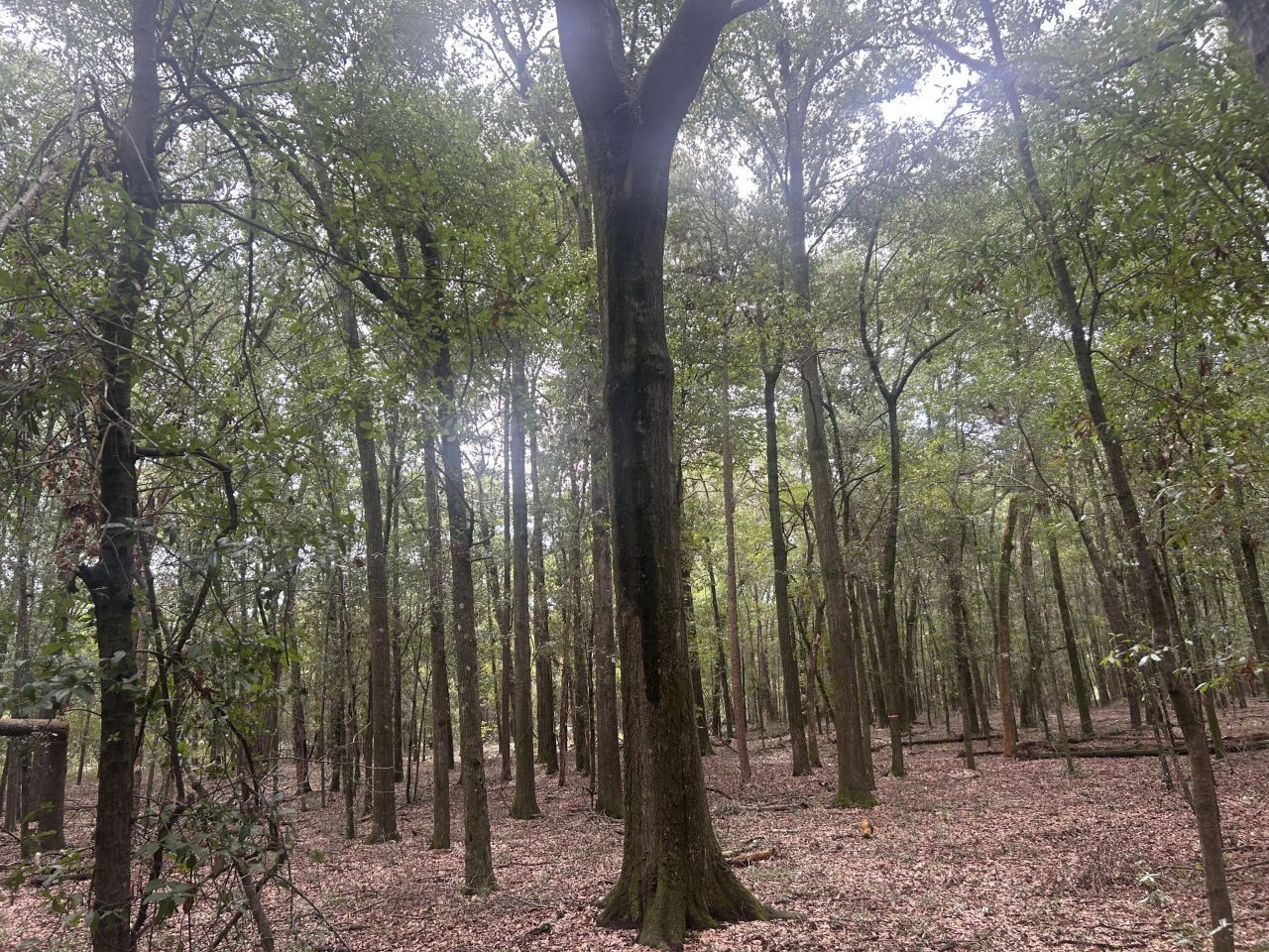 2 Francis Marion Boulevard Photo 4