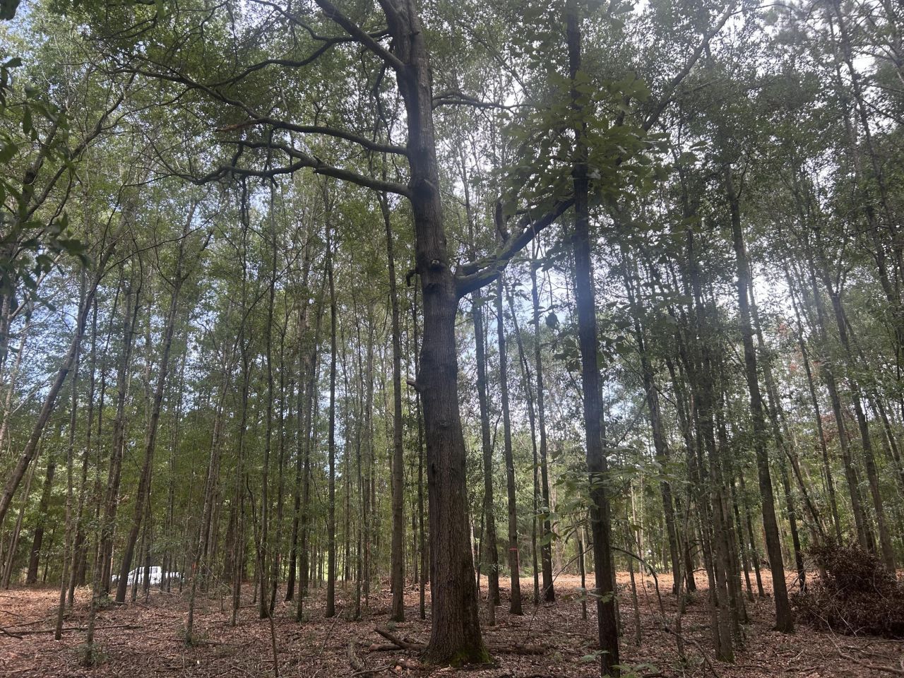 2 Francis Marion Boulevard Photo 5