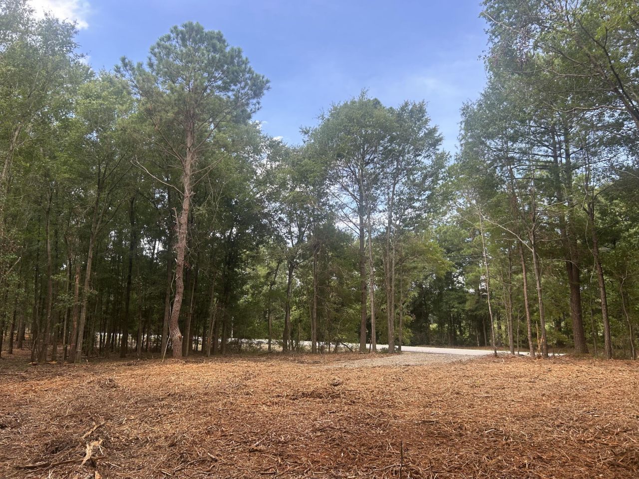 2 Francis Marion Boulevard Photo 6