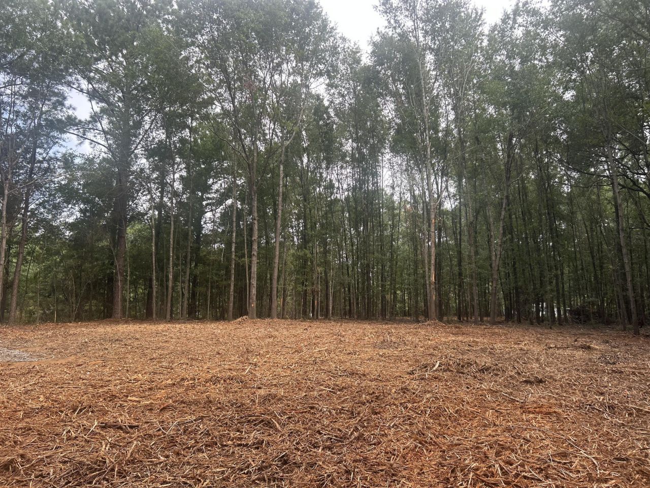 2 Francis Marion Boulevard Photo 9