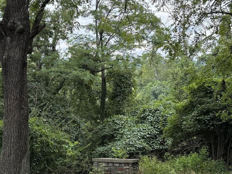 1 Baum & Burnet, Woodlawn, KY 41071 Photo 15