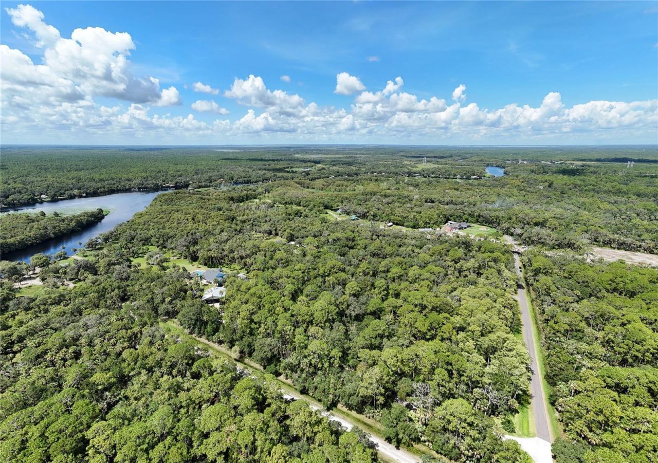 1215 Tall Pines Drive, Osteen, FL 32764 Photo