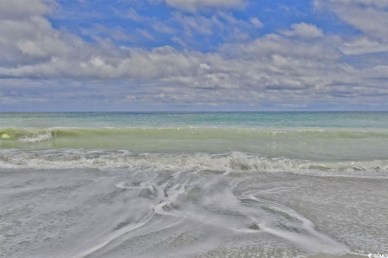 304 Kiskadee Loop Photo 39