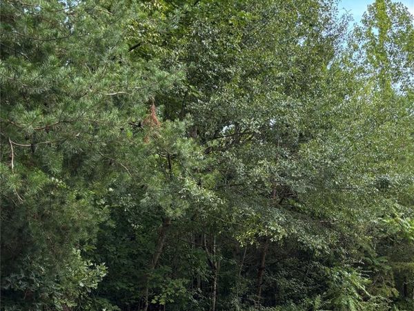 6488 Ridgeview Circle, Granite Falls, NC 28630