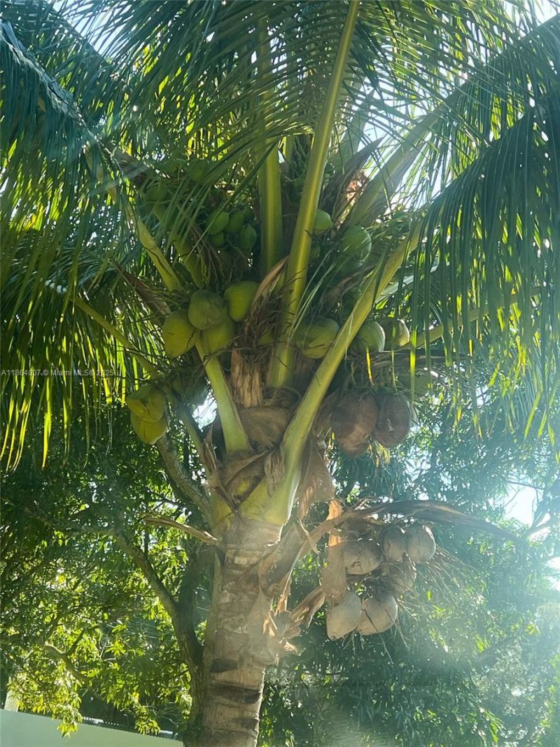 36520 SW 214th Ave, Homestead, FL 33034 Photo