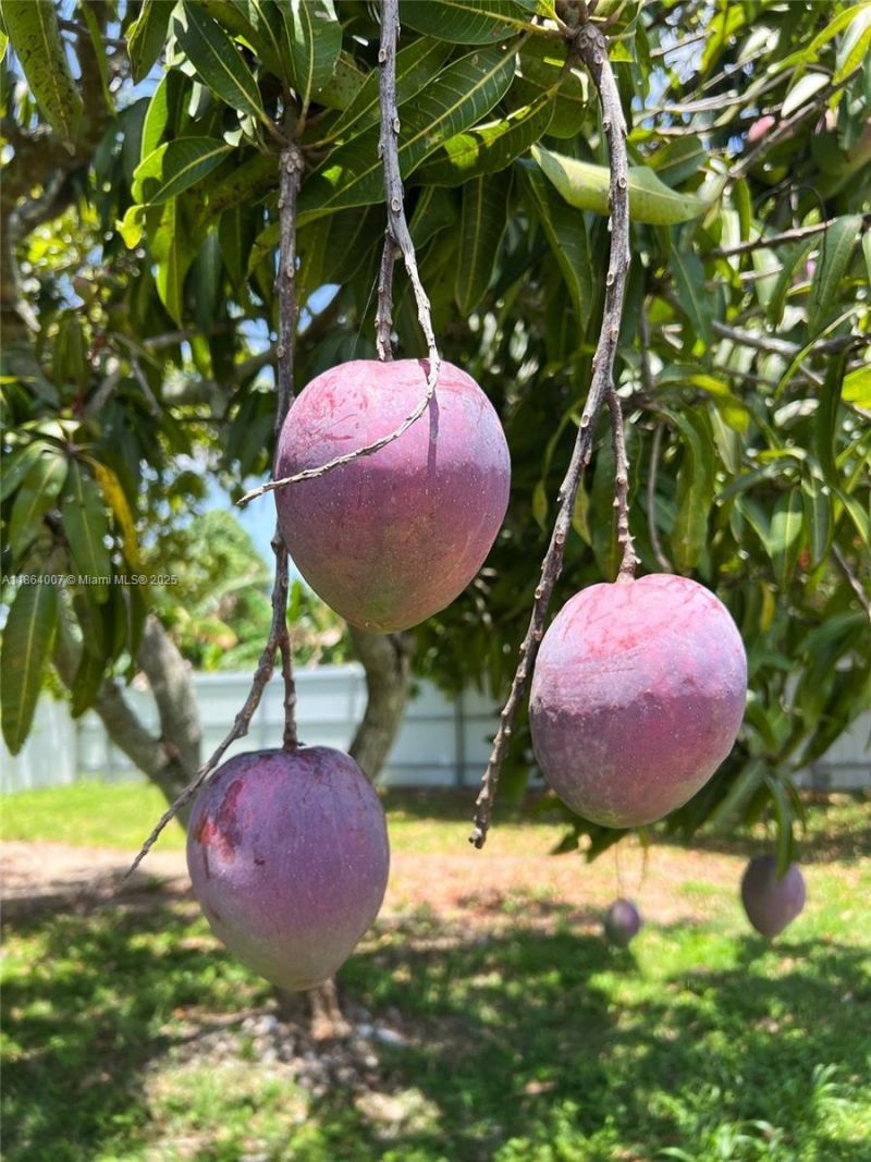 36520 SW 214th Ave, Homestead, FL 33034 Photo