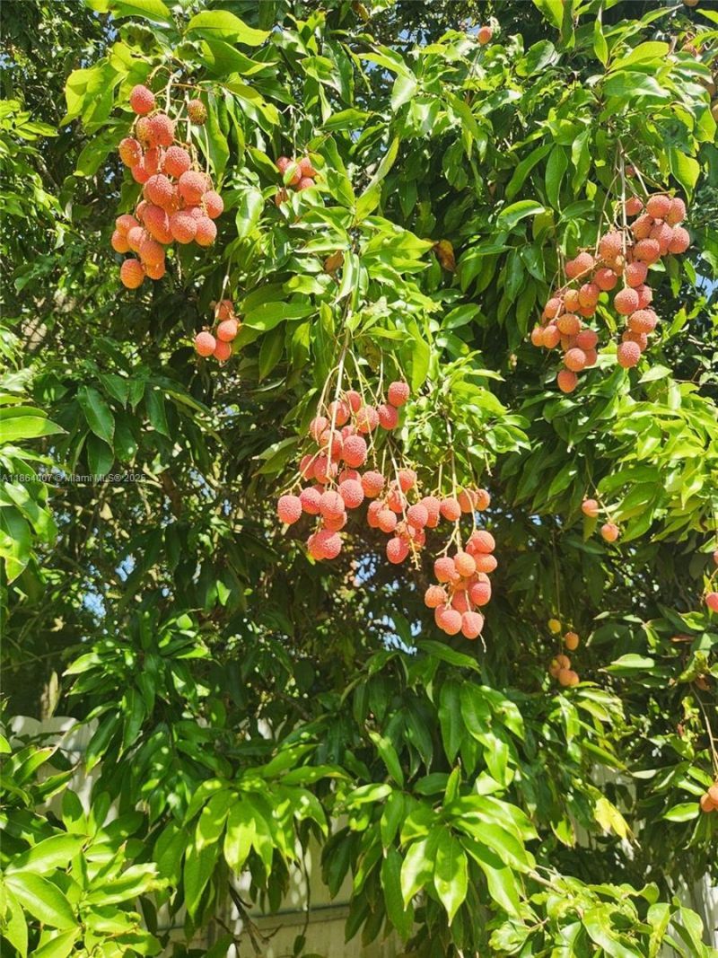 36520 SW 214th Ave, Homestead, FL 33034 Photo