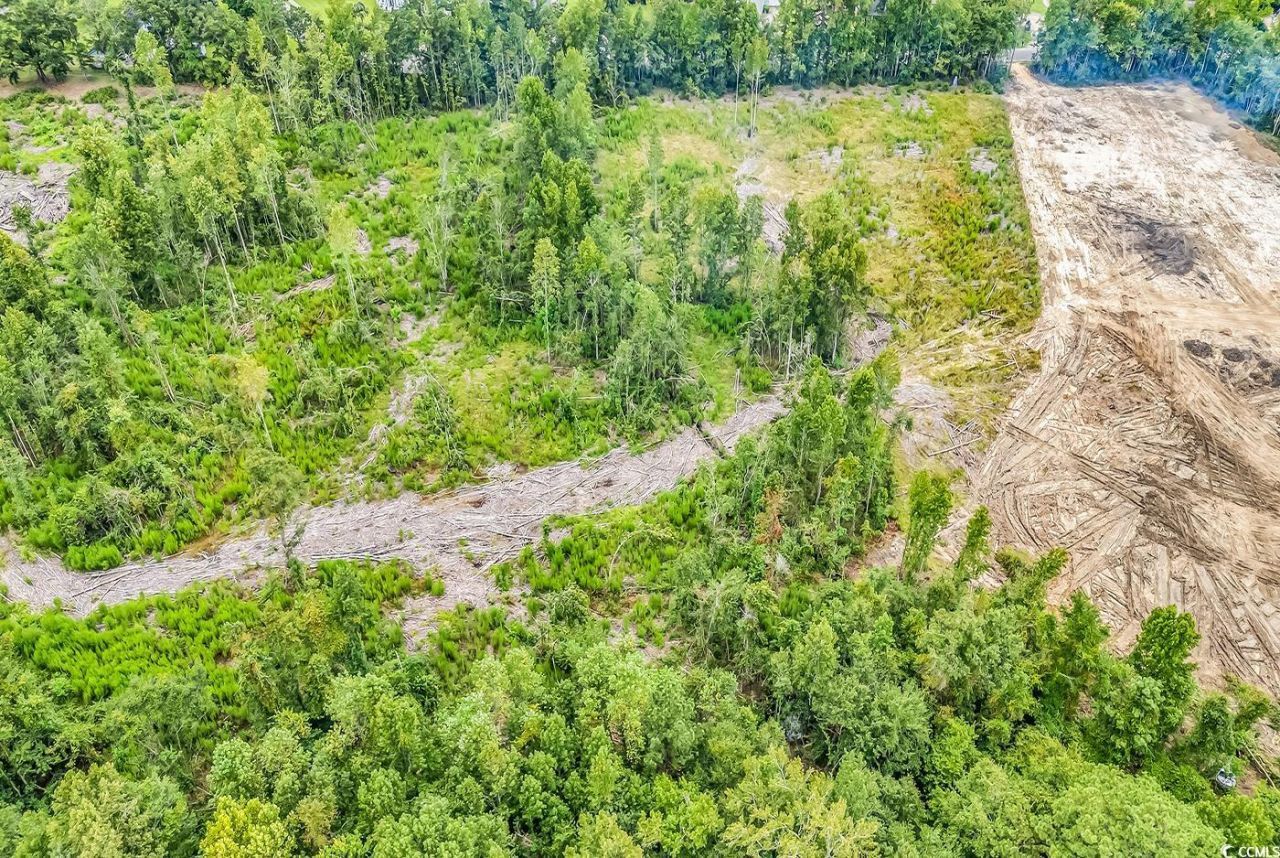 Lot 4 Kellys Cove Dr. Photo 16