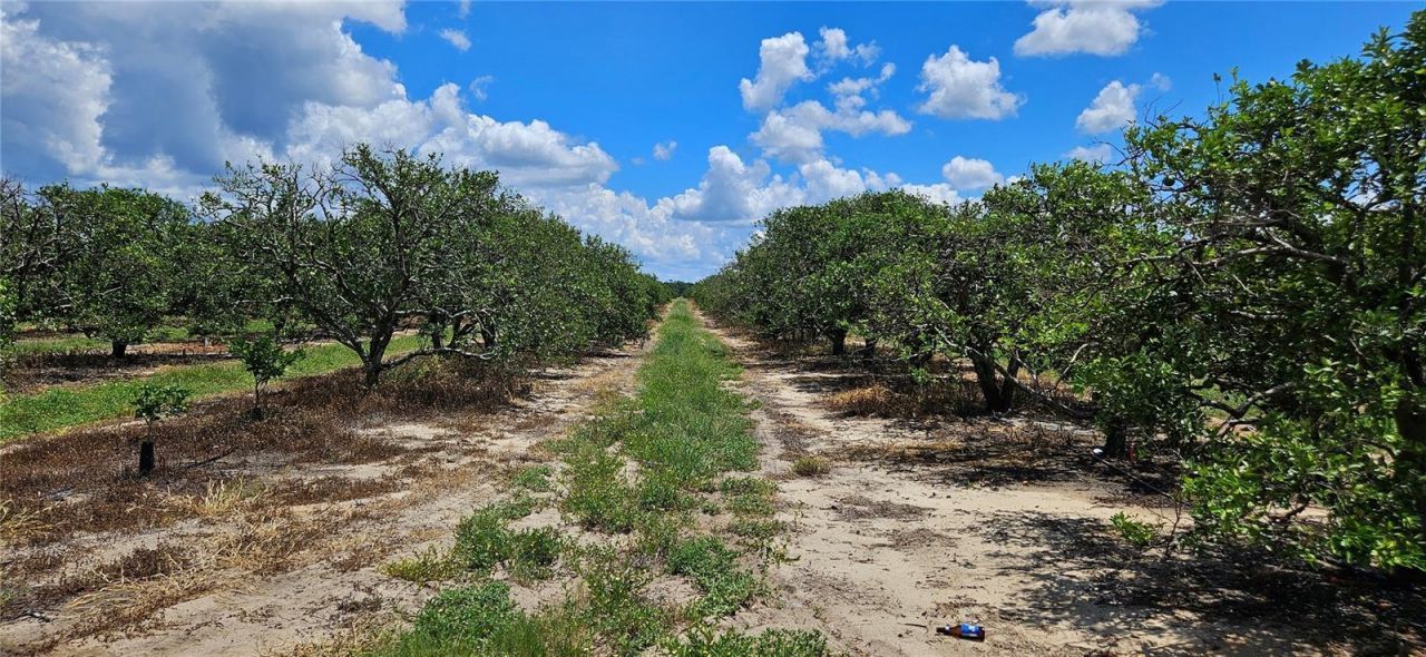 Please Call For Address, Lake Wales, FL 33898 Photo