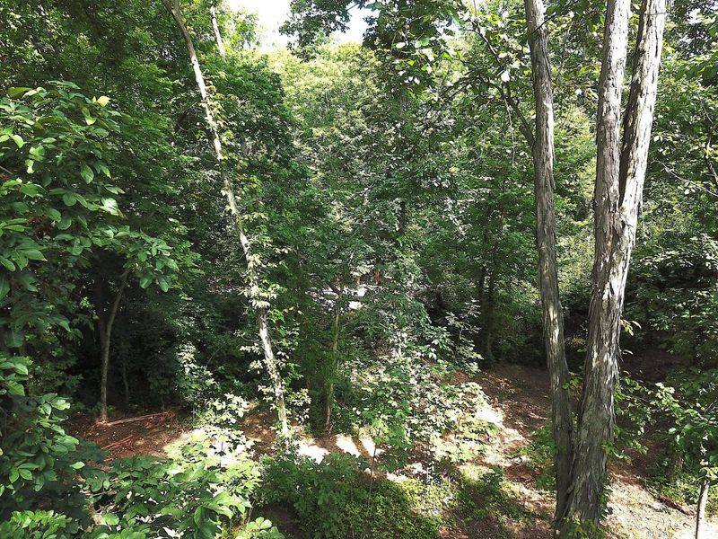 0 N Dean Road, Ostrander, OH 43061 Photo 10