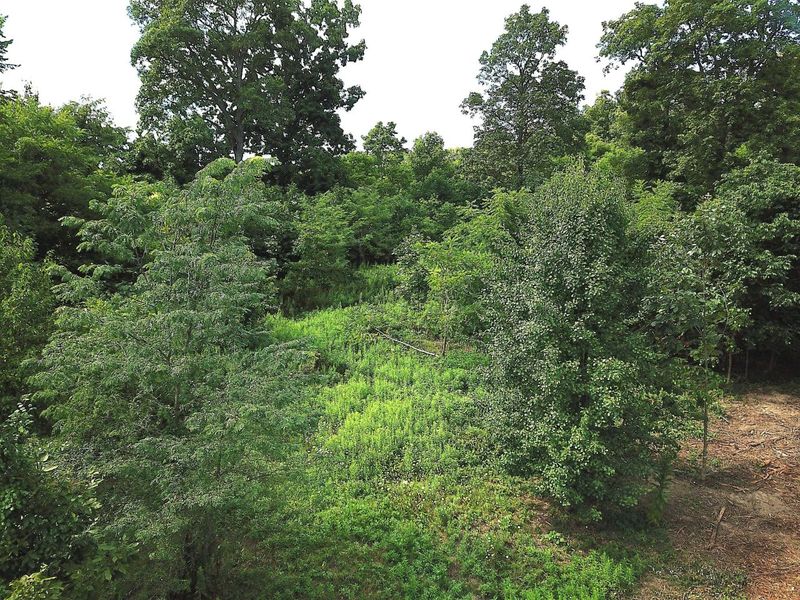 0 N Dean Road, Ostrander, OH 43061 Photo 15