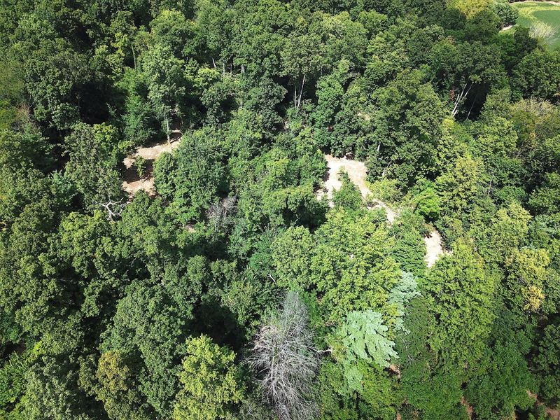 0 N Dean Road, Ostrander, OH 43061 Photo 34