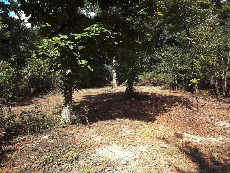 0 N Dean Road, Ostrander, OH 43061 Photo 6