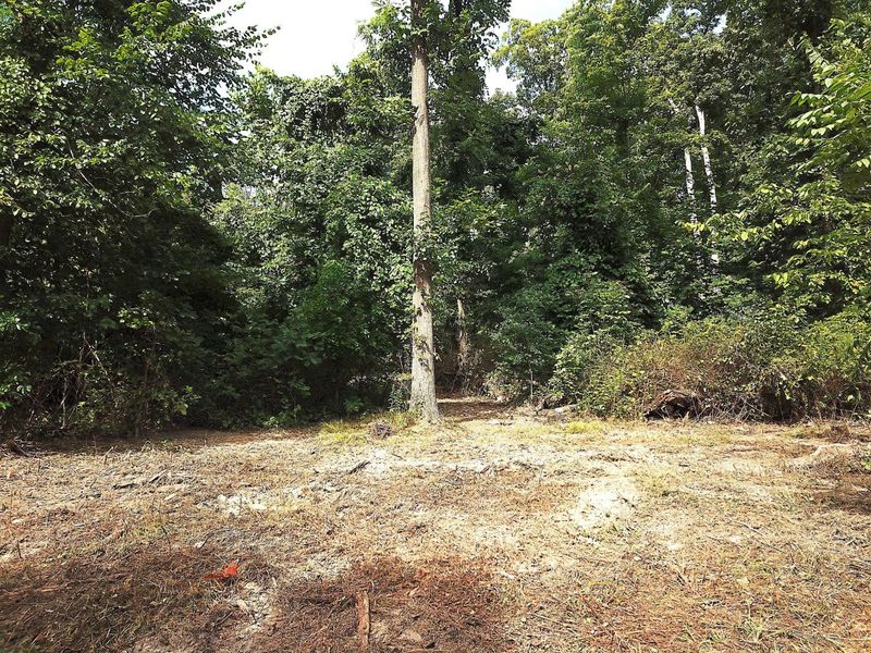 0 N Dean Road, Ostrander, OH 43061 Photo 7