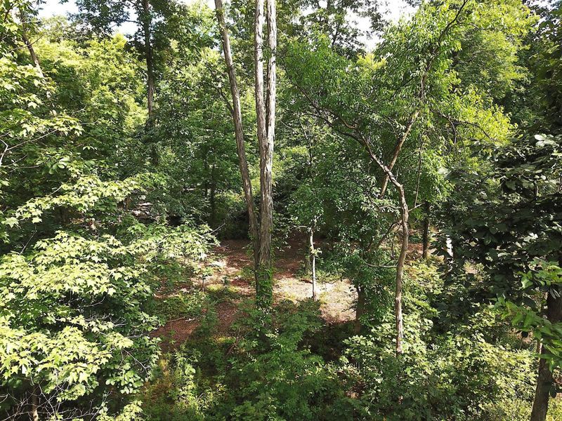 0 N Dean Road, Ostrander, OH 43061 Photo 9